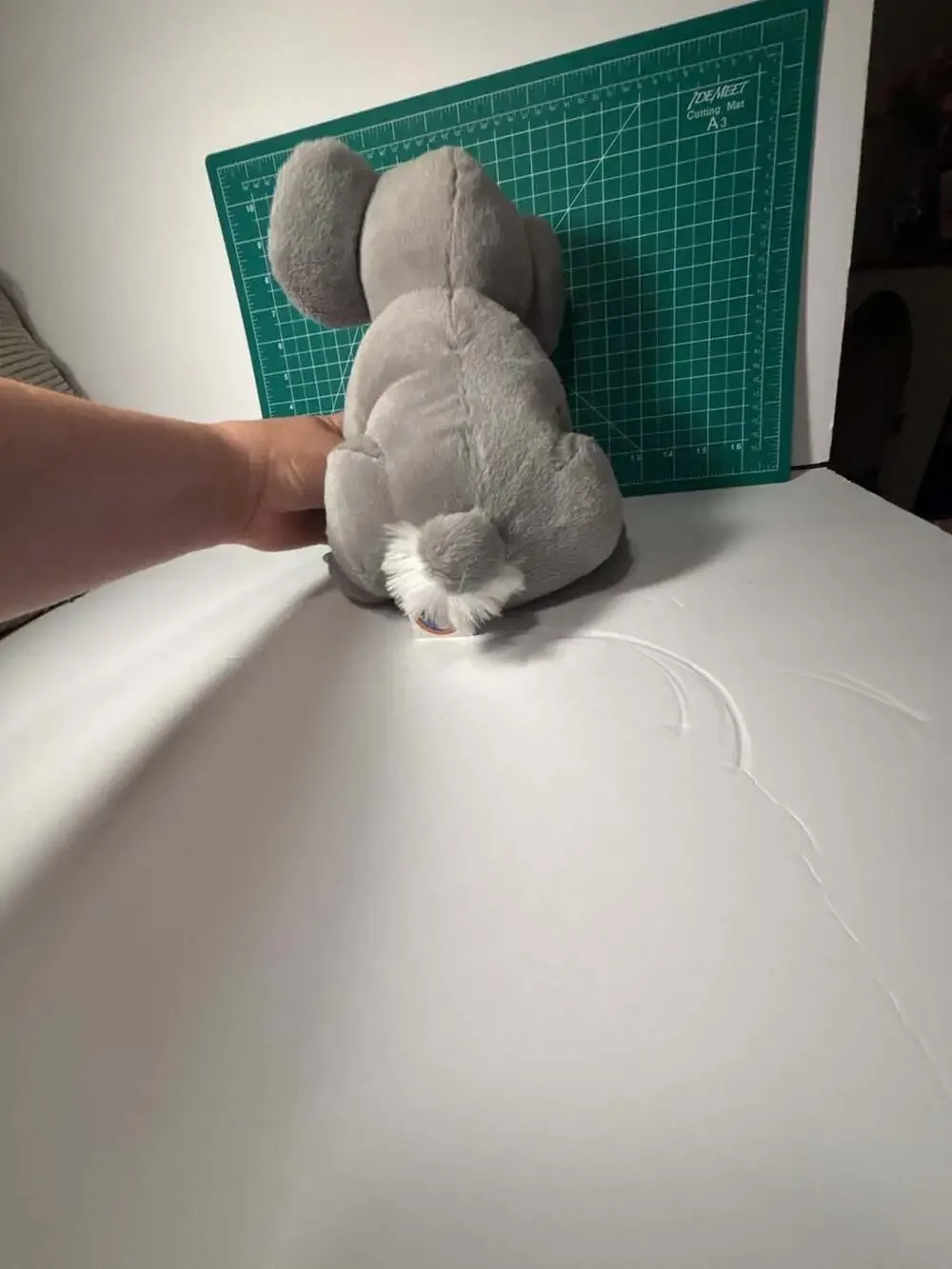 Big Unit big unit